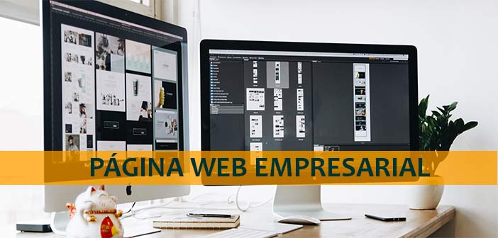 Pagina-web-empresarial-con-dagaz-tech